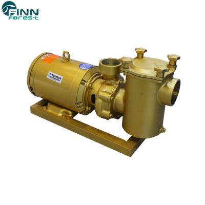 China High Efficiency Commerical Swimming Pool Pump 10hp Electric Swimming Pool Pump zu verkaufen