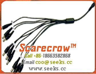 China Scarecrow™ DC1FS8M DC Splitter 1 Female (Plugs) to 8 Male (Jack) for sale