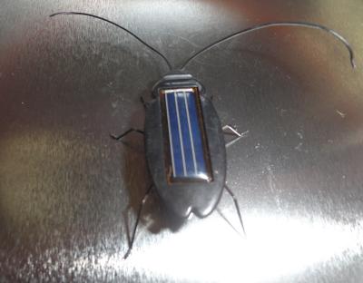 China Solar roach toys, Solar Cockroach toys, Solar Toys, Minimum Quantity More than 10 pcs for sale