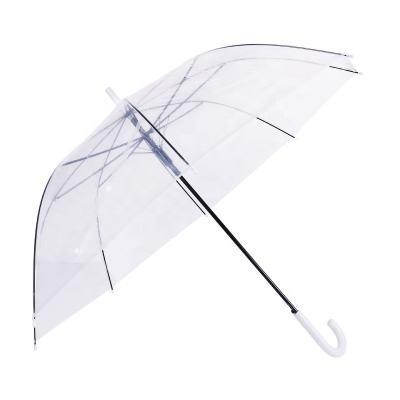 China Modern Factory Wholesale Straight Multiple Color PVC Material Customization Available Transparent Umbrella Rain Clear for sale