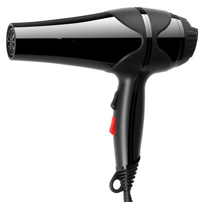 China Hot selling ionic hair dryer, professional hair dryer with ion and induction function hair dryer 2020/ for sale