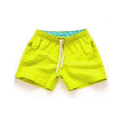 China 2019 Anti-UV factory direct best selling borad beach shorts trunks volleyball shorts swimming shorts for sale