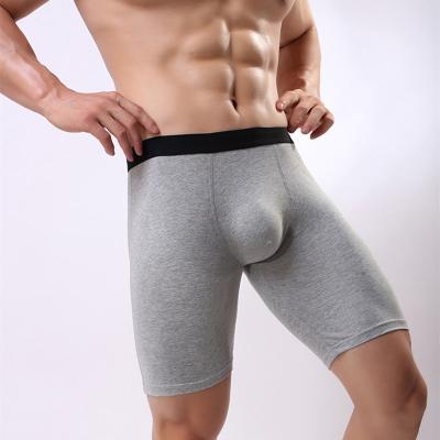 China Para hombre OEM ODM men underwear logo boxer pair hombr ropa custom made breathable high quality white breathable backrest for sale