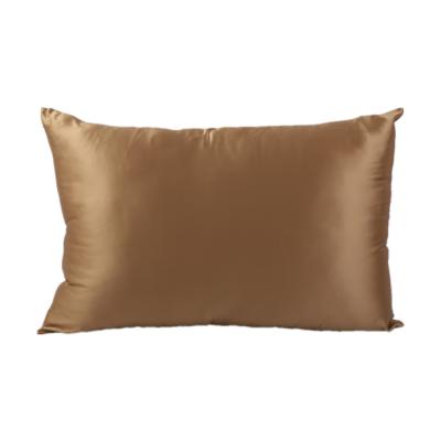 China Viable the 2021 new silk pillowcase with zipper and wrap style 100% pure silk pillowcase for sale