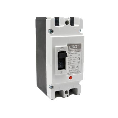 China CSQ hot sale 2 poles mccb HYCM1-250A mccb 2p 125a 250a for motor protection power distribution 63A molded case circuit breaker 50ka for sale