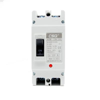 China CSQ AC 2 Poles mccb HYCM1-125A 200A 250A Cast Case Circuit Breaker 63A 2P Single Phase 50ka Circuit Breaker for sale