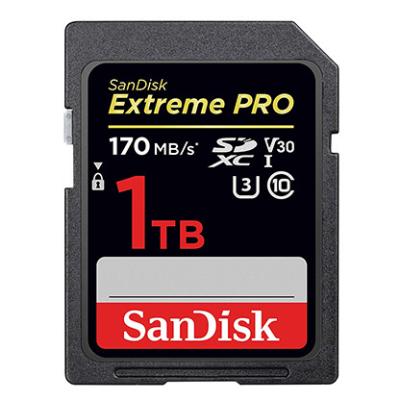 China Original SanDisk Plastic SD 1TB Memory Card for sale