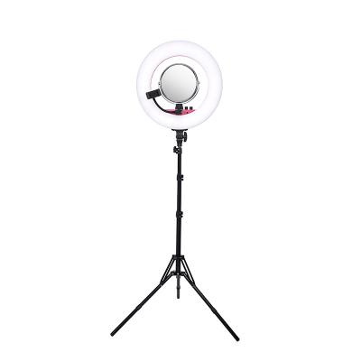 China Beauty salon/home china wholesale extendable selfie stick tripod with led ring light moving selfie led flash ring light for sale