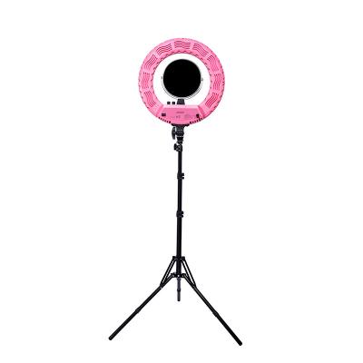 China Beauty salon / China wholesale home extendable tripod with led ring light moving selfie for sale