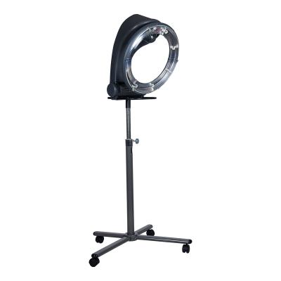 China Other Wholesale Professional Hair Salon Hair Wall Mount Hair Dryer For Salon Processor for sale