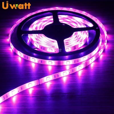 China Theme Park Factory Outlet SMD 5050 Colorful Decoration IP65 12V RGB LED Light Strip For TV Background for sale