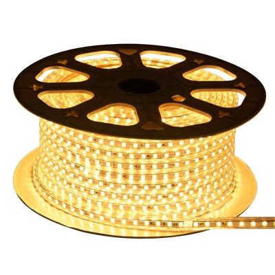 China Outdoor Landscape Lighting Good Price China Supplier Outdoor Waterproof 220v 5050 Led Strip Light High Voltage For Landscape Lighting for sale