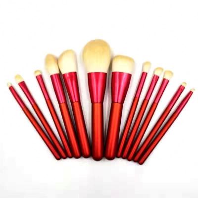 China Makes Apply Makeup DX12PCS Red Clean Brand Makeup Brush Luxury Makeup Bag Beauty Brush Set Makeup, Eye and Face Brush Tool for sale