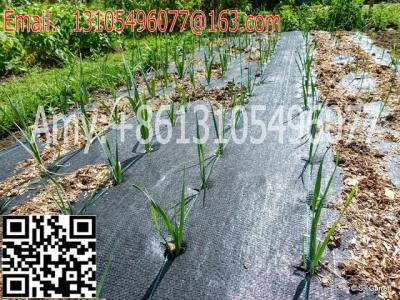 China woven geotextile Plastic Modling Type Mulch plastic film for agriculture weed barrier for sale