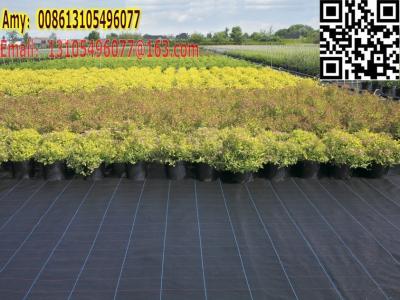 China 2016 High Quality100% PP woven weed barrier weet mat for ground cover for sale