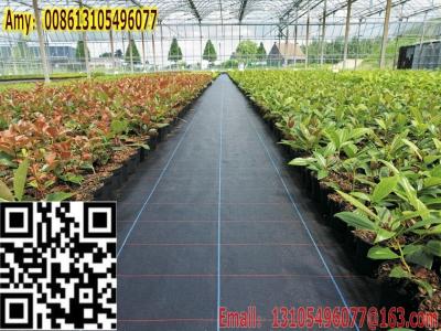 China PP Woven geotextile Weed Control cover fabric Mat easy construction for sale