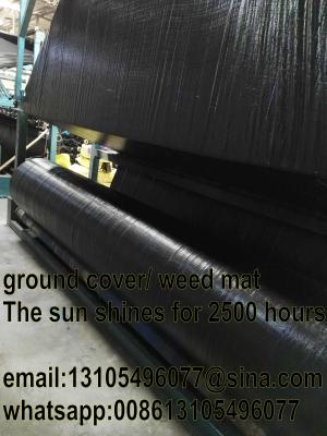 China Agricultural pp woven weed mat/weed barrier mat/all new material 70GSM 80GSM for sale