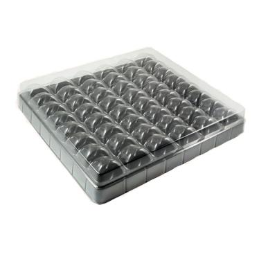 China Food Plastic Material And Accept Custom Order Macarons Package Trays 48 Macarons Blister Box for sale