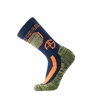 China Sports Sweat-absorbent cushioning wear-resistant breathable socks for sale