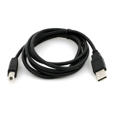 China Free Sample Electronics Products Custom USB 2.0 A Male To B Male Printer USB Cable for sale