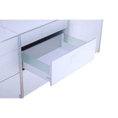 China Modern Custom Full Extension Ball Bearing Soft Close Drawer Slides With Frosted Glasses for sale