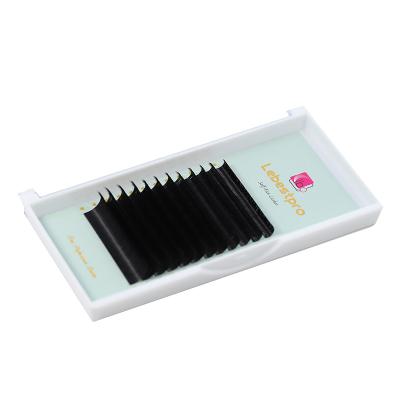 China 100% Handmade False Eyelash Hair Eyelash Extension Supplier OEM Customized Fanning Package Super Matte Black Nature Black Mega Easy for sale