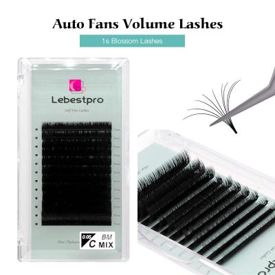 China 100% Handmade Hair False Eyelash 0.05 0.07 Volume Eyelash Extension Easy Fanning Non Sticky Technicians Supply Silk Eyelash Extension for sale