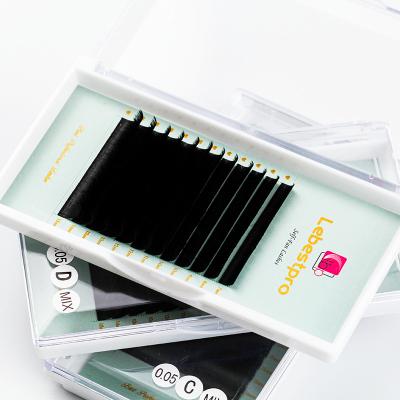 China 100% Luxury Handmade Hair Eyelash Extensions 0.05cc Loop 8-20mm Aluminum Auto Blooming Soft Light Soft False Eyelashes Lash Fan Easy Cashmere Lash Tray for sale