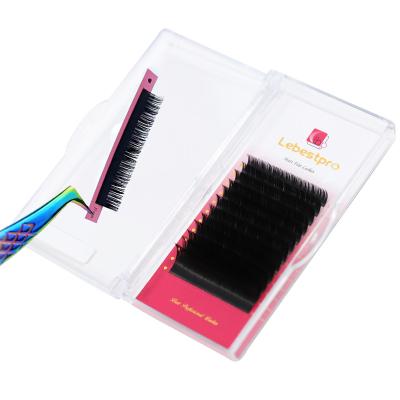 China Lebestpro Long Natural Lashes Factory J Since C cc D Dual Density Curl Eyelash Extension Private Label Korea PBT Flat Lashes for sale