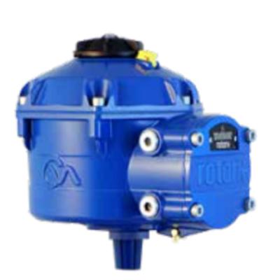 China General Rotork CVA Serials Precision Modulating Actuator With Fisher Valve Body As Rotork Electric Actuator for sale