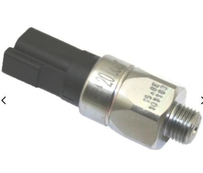 China Construction Works Excavator Oil Pressure Switch Sensor 101103 with Easy Installation for sale