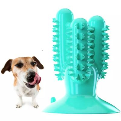 China Hot Sale High Quality Wholesale Viable Funny Toy Pet Training Interactive Toy Amazon TPR Cactus Suction Dog Dog Chew For Dogs for sale