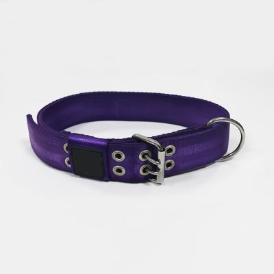 China Viable Heavy Duty Purple Nylon Pointed Dog Collar With Metal Hole for sale