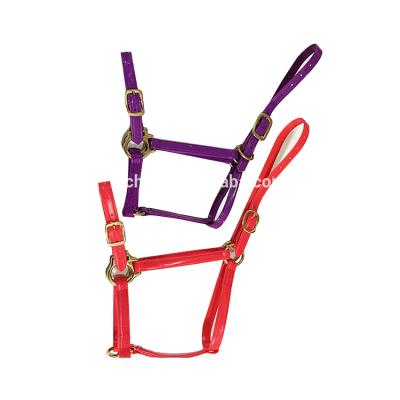 China Eco-friendly Wholesale High-tech Material PVC Brass Horse Halter for sale