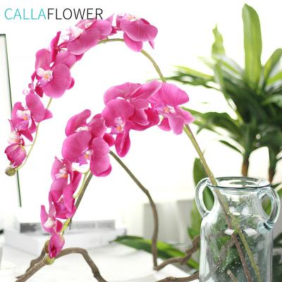 China Natural Orchid Real Touch Moth Touch Phalaenopsis Artificial Butterfly Orchids Flower for sale