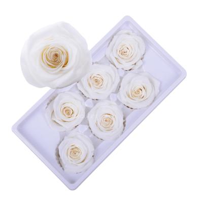 China Wholesale Natural Vlentines Day Yunnan Culinan Top Grade Size 5-6cm Immortal Preserved Roses True for sale