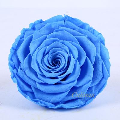 China Culinan Valentine's Day Wholesale Freeze Dried Roses Supplier Preserved Rose Flowers Online Business Preserved Flower Rose For for sale