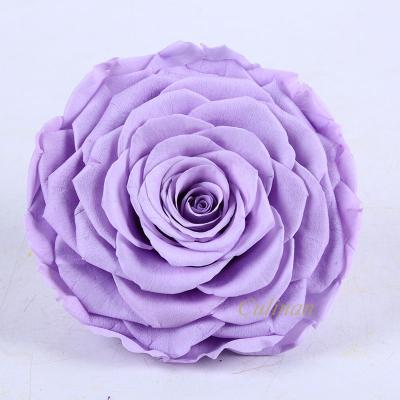 China Wholesale Giant Forever Rose Amor Mini Preserved Eternal Roses Culinan Diy Valentine's Day Christmas Teachers 9-10Cm for sale