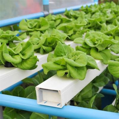 China Factory wholesale pvc channel vertical pvc tube for hydroponic nft system for sale