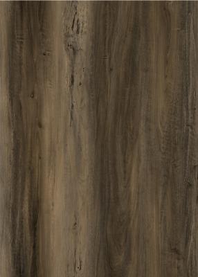 Cina Unilin Click SPC Wood Flooring Biodegradable Maple Birch Glueless Oak GKBM DG-W50001B in vendita