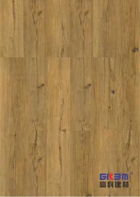 China Click Wood SPC Flooring 5mm Waterproof Gold Grail GKBM Greenpy MJ-W6005 for sale