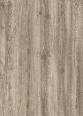 Cina quercia SPC impermeabile 1220x183mm GKBM DM-W40051 di 5.5mm Volga in vendita