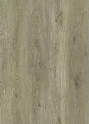 China Fireproof SPC 5mm Oak Wood Grain Noise Prevention GKBM LS-W001 Greenpy for sale