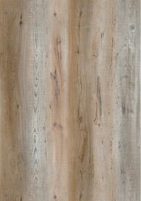 China Vinyl de Bevloerings Waterdichte Pijnboom Eiken Forest Wood Grain Unilin Click GKBM dd-w82156-1 van Eco Vriendschappelijke SPC Te koop