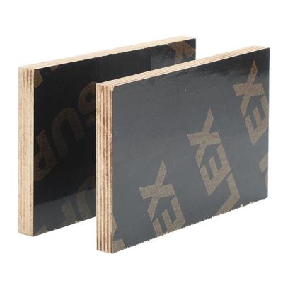 China 15mm/18mm contemporary eucalyptus/poplar commercial black film faced plywood core plywood for sale