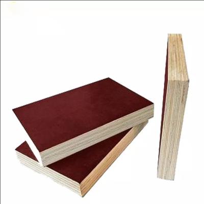 China Contemporary Cheap Laminated Marine Pine Larch Poplar For Concrete-shape Plywood for sale