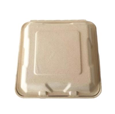 China Minimalist Biodegradable Food Bagasse Disposable Candy Cane 9.2 Inch Food Container for sale