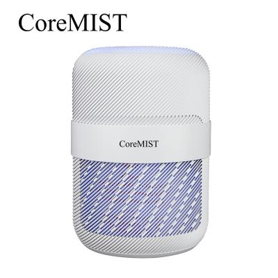 China Car Core Mist Air Purifier for Home Bedroom, Hepa Fresheners Filter Small Room YNAP-1207G for sale