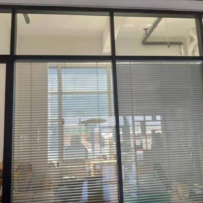 China Decorative Courtyard Hollow Shutter Office Partition Wall Vacuum Insulated Glass Exterior Panel for sale