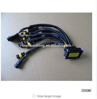 China Automobile car wiring harness with ECU connector, fuel injection wire harness for sale